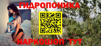 PSILOCYBIN Кулебаки