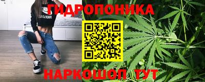 PSILOCYBIN Кулебаки