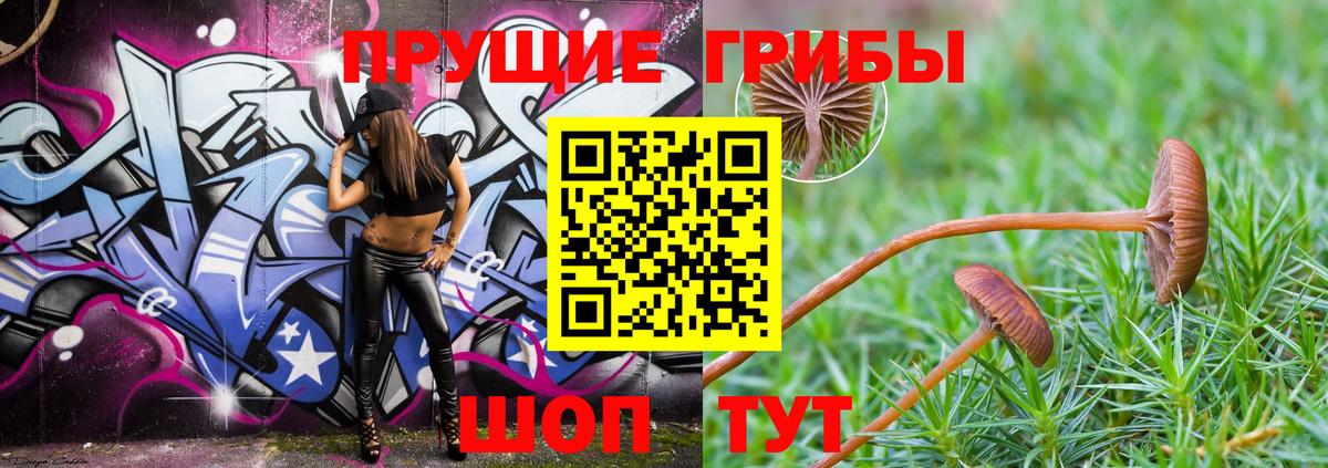 Псилоцибиновые грибы мицелий Фролово
